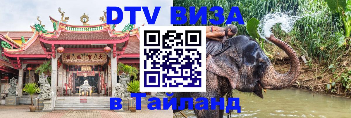 Сколько стоит DTV виза — актуальные цены, оформление даже без документов - Михайловск  19.11.2025 